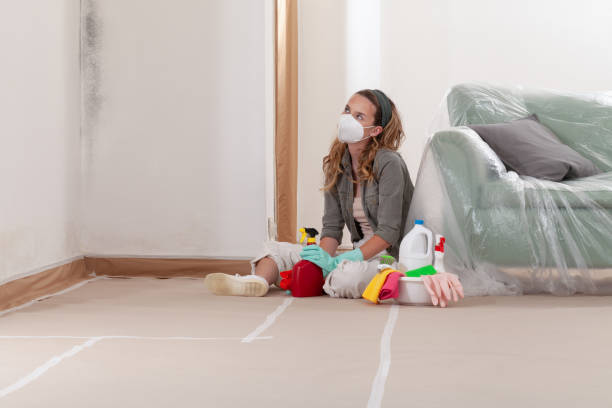Reliable Mold Inspection contractor in Conshohocken, PA by WQB Mold Removal